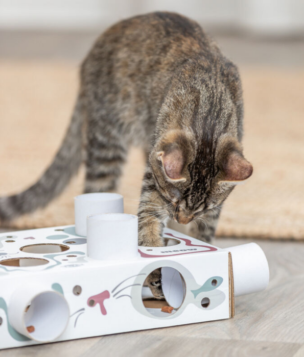Trixie - Paws’n’Treats Box, Interactive Cat Puzzle Toy with Push-In Tubes - 35 × 7 × 20 cm