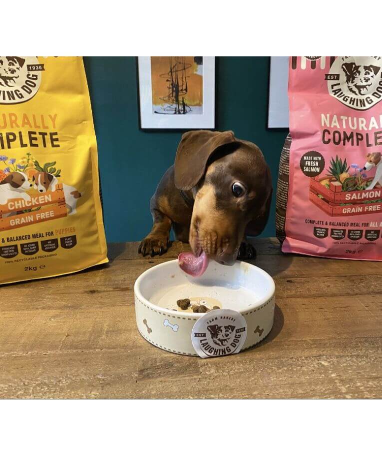 Laughing Dog - Naturally Complete Salmon, Grain-Free, Adult Dry Dog Food For All Breed Sizes - 2kg, 10kg