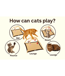 Pawise Cat Play Mat – Interactive Play Arch with Dangling Toys & Fleece Base 53 x 53 x 35 cm