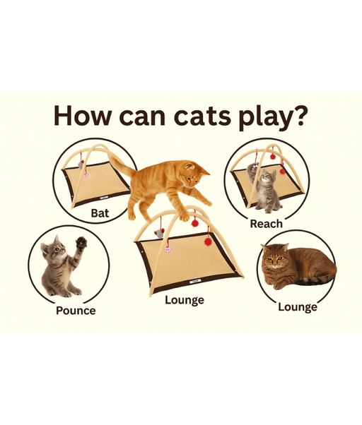 Pawise Cat Play Mat – Interactive Play Arch with Dangling Toys & Fleece Base 53 x 53 x 35 cm