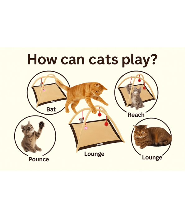 Pawise Cat Play Mat – Interactive Play Arch with Dangling Toys & Fleece Base 53 x 53 x 35 cm