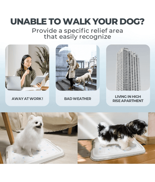 Pawise - Pee Pad Holder Tray for Dogs, Non-Slip, Easy to Clean - Small, Large