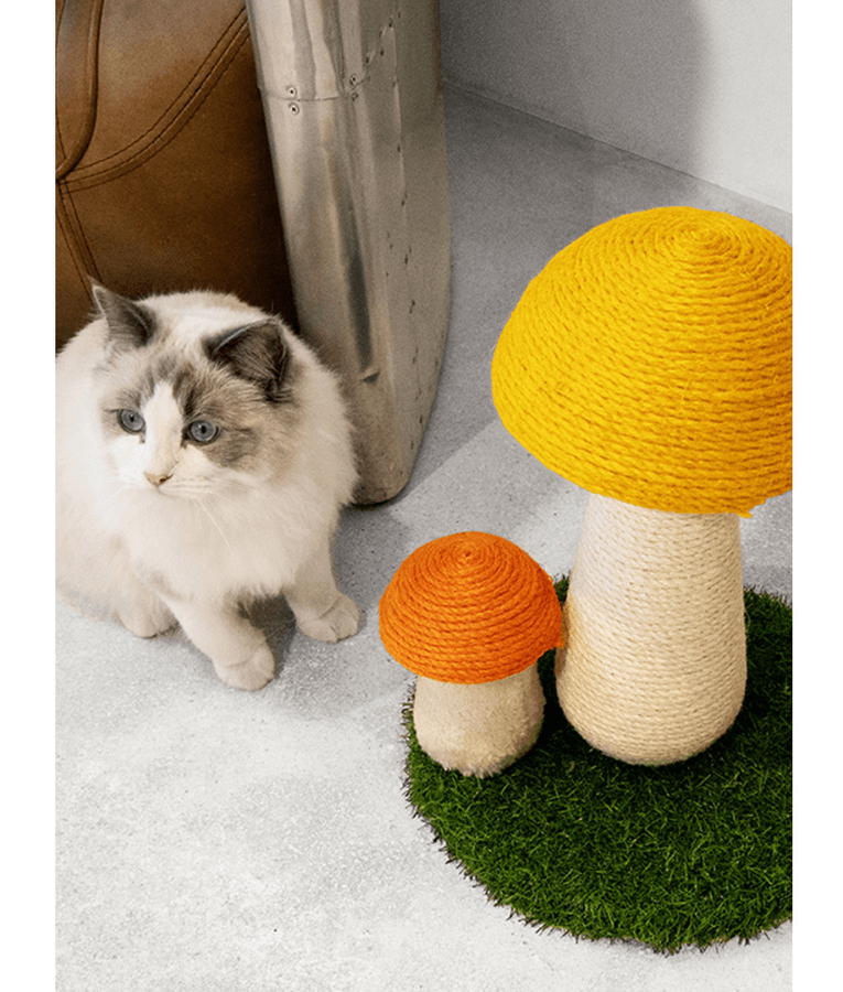 Pawise - Mushee Mushroom Cat Scratching Post - 40 x 35 cm