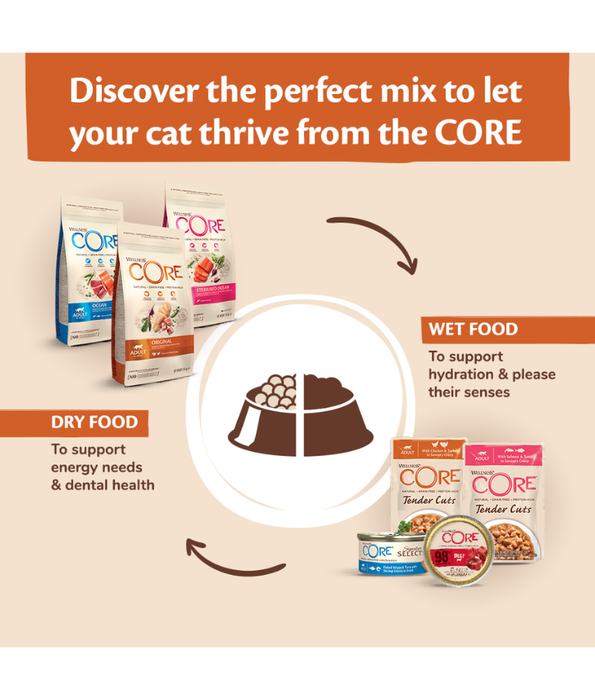 Wellness CORE - Signature Selects, Chicken & Turkey, High-Protein, Grain-Free, Adult Wet Cat Food - 79g