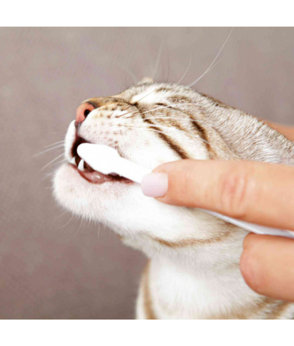 Trixie - Cat Dental Hygiene Set 50g