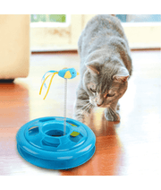 Pawise - Kitty Roundabout