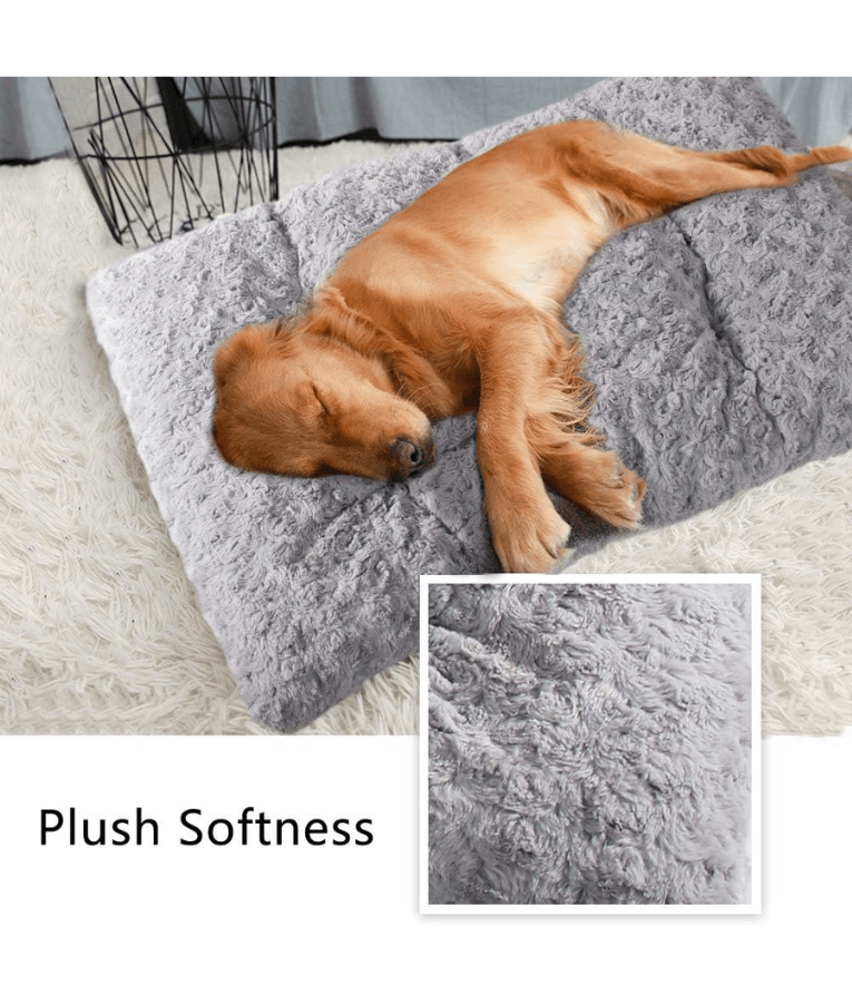 Pawise – Memory Foam Mattress for Dogs & Cats, L–XL