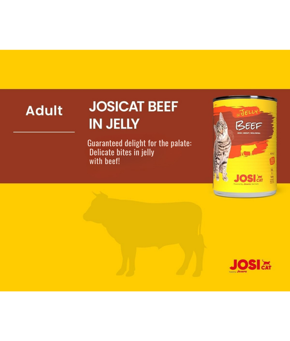 Josera - JosiCat Beef in Jelly, Grain-Free, Adult - Wet Cat Food - 400 g