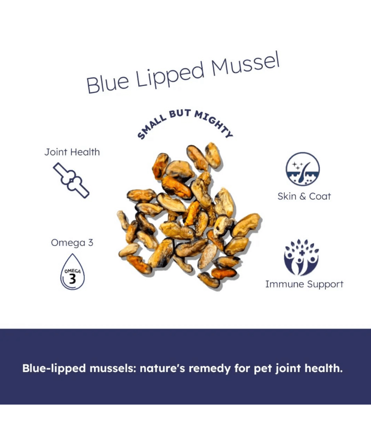 The Pet Bistro – Blue Lipped Mussels, 100g
