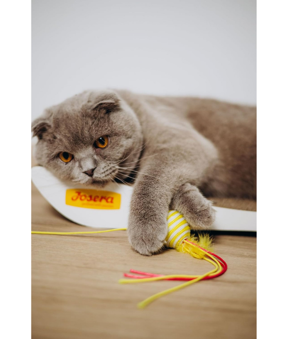 Josera - JosiCat Beef in Jelly, Grain-Free, Adult - Wet Cat Food - 400 g