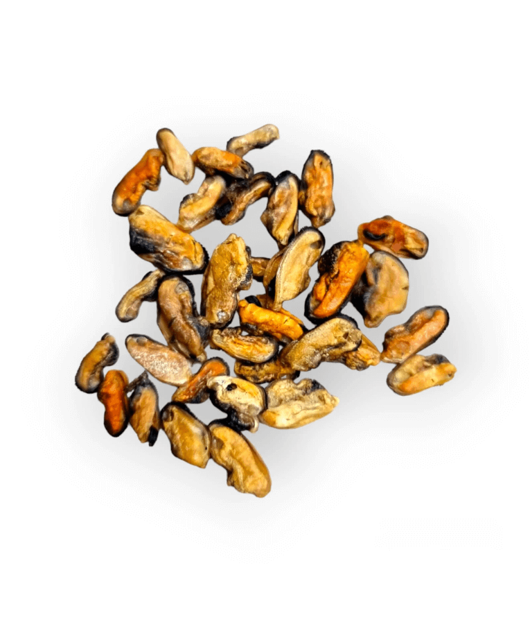 The Pet Bistro – Blue Lipped Mussels, 100g