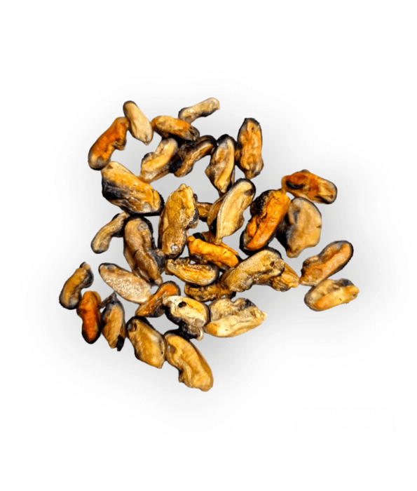The Pet Bistro – Blue Lipped Mussels, 100g