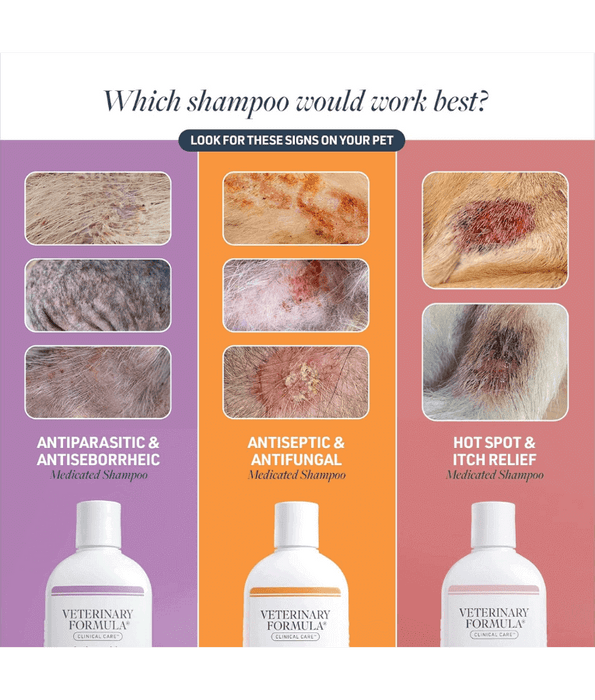 Synergy Labs Veterinary Formula, Clinical Care Antiseptic and Antifu