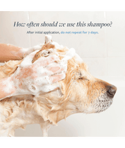Synergy Labs - Veterinary Formula, Flea & Tick Shampoo For Dogs & Cats - 473 ml