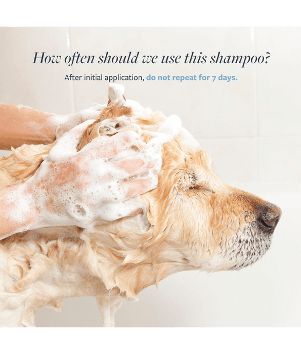 Synergy Labs - Veterinary Formula, Flea & Tick Shampoo For Dogs & Cats - 473 ml