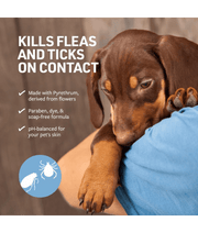 Synergy Labs - Veterinary Formula, Flea & Tick Shampoo For Dogs & Cats - 473 ml