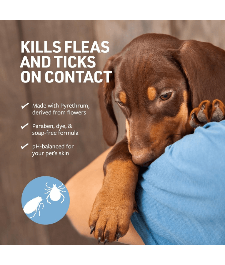 Synergy Labs - Veterinary Formula, Flea & Tick Shampoo For Dogs & Cats - 473 ml