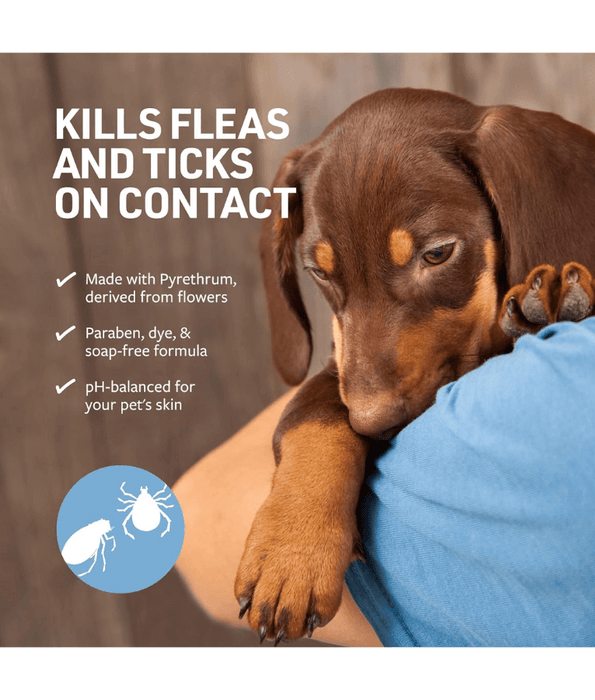 Synergy Labs - Veterinary Formula, Flea & Tick Shampoo For Dogs & Cats - 473 ml