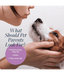 Synergy Labs - Veterinary Formula, Clinical Care Antiparasitic and Antiseborrheic Shampoo For Dogs - 473ml
