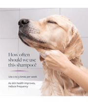 Synergy Labs - Veterinary Formula, Clinical Care Antiparasitic and Antiseborrheic Shampoo For Dogs - 473ml