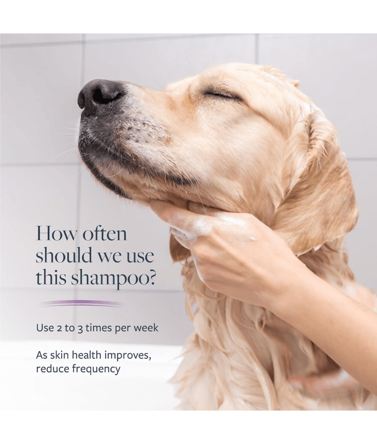 Synergy Labs - Veterinary Formula, Clinical Care Antiparasitic and Antiseborrheic Shampoo For Dogs - 473ml