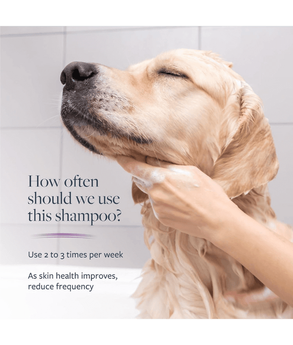 Synergy Labs - Veterinary Formula, Clinical Care Antiparasitic and Antiseborrheic Shampoo For Dogs - 473ml