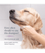 Synergy Labs - Veterinary Formula, Clinical Care Antiparasitic and Antiseborrheic Shampoo For Dogs - 473ml