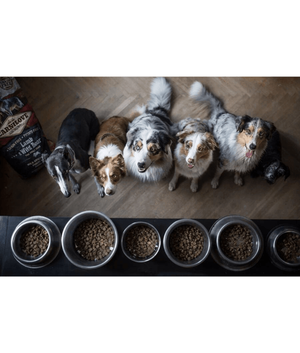 Carnilove - Lamb & Wild Boar For Adult Dogs 12kgs