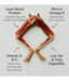 The Pet Bistro – Natural Frog Legs Dog Treats - 5 Pairs