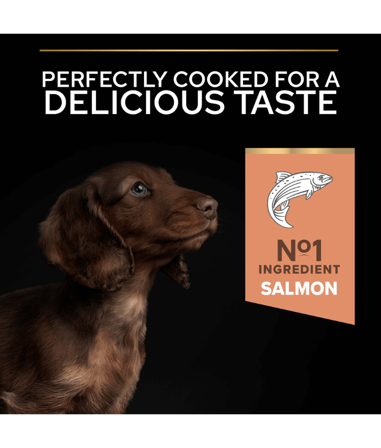 Purina Pro Plan Small and Mini Puppy Sensitive Skin Dry Dog food with Salmon 3 kg