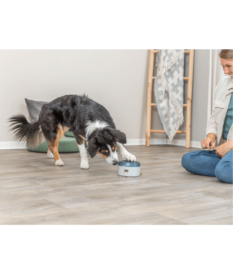 Trixie - Buzzer Dog Training Toy, Reward Button with Non-Slip Rubber Base - 14 × 9.5 cm