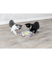 Trixie - Junior Cat/ kitten Activity Circle Track - Chase Track, Cat Toy - 24cm