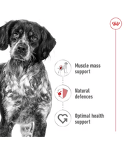 Royal Canin Medium Breed Adult Loaf Wet Dog Food 410g
