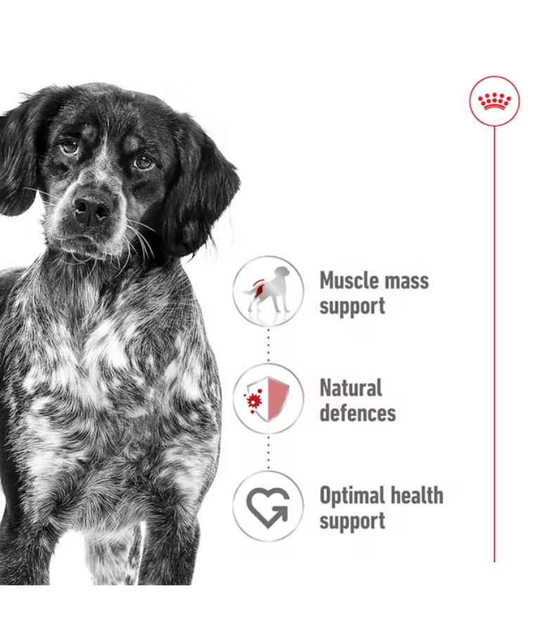 Royal Canin Medium Breed Adult Loaf Wet Dog Food 410g