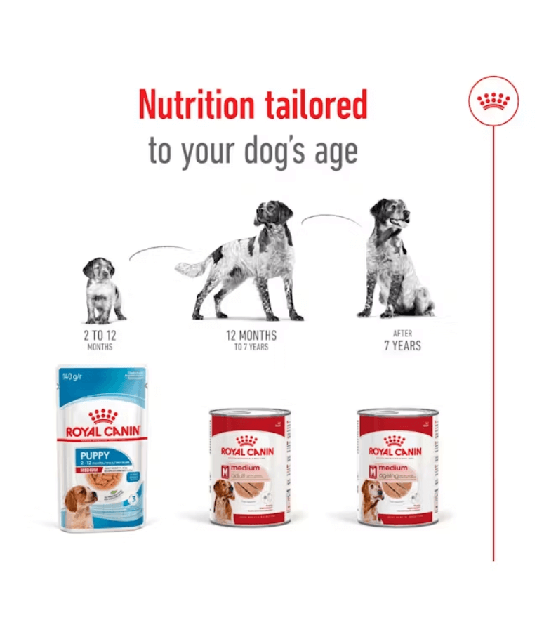 Royal Canin Medium Breed Adult Loaf Wet Dog Food 410g