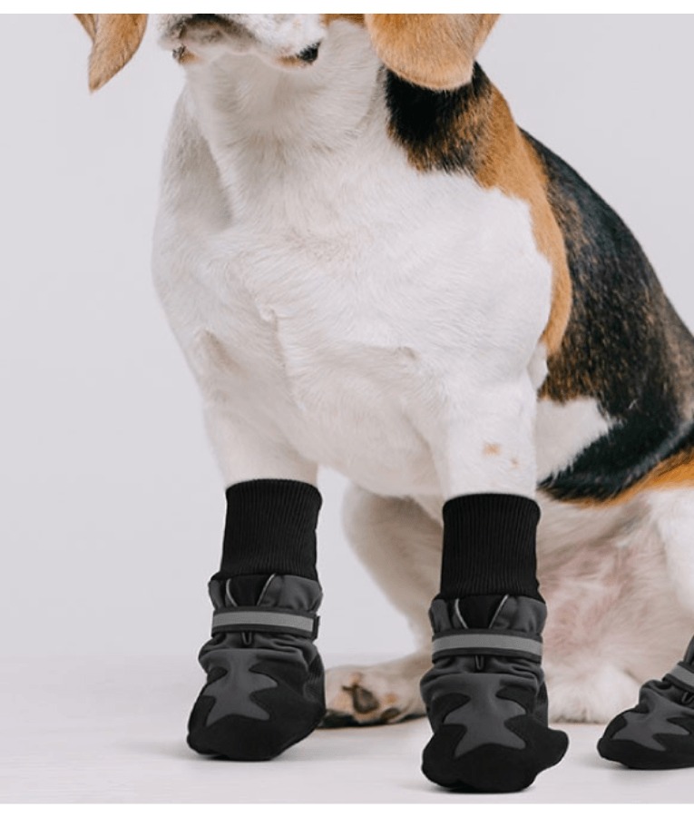 Pawise - Dog Protection Shoes, Softshell Outdoor Boots with Reflective Strap - XS-S-M-L-XL