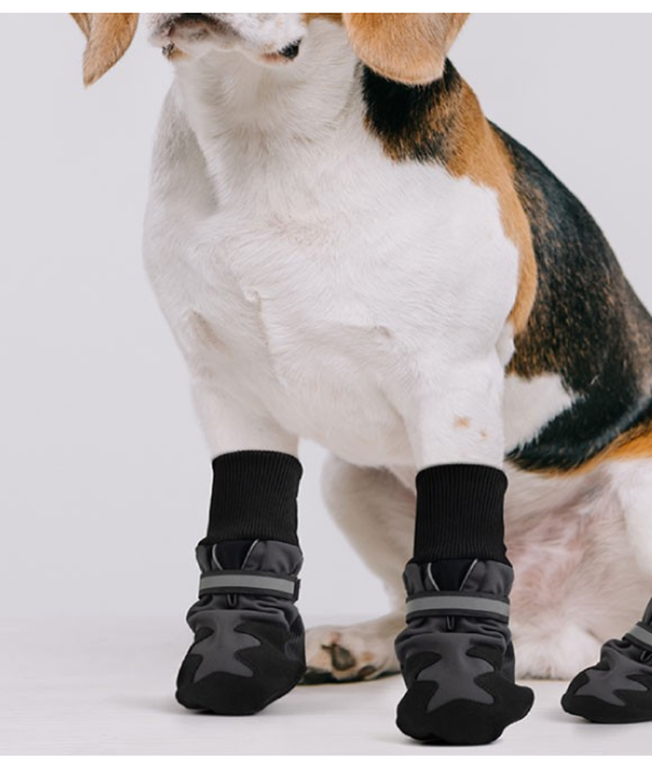 Pawise - Dog Protection Shoes, Softshell Outdoor Boots with Reflective Strap - XL