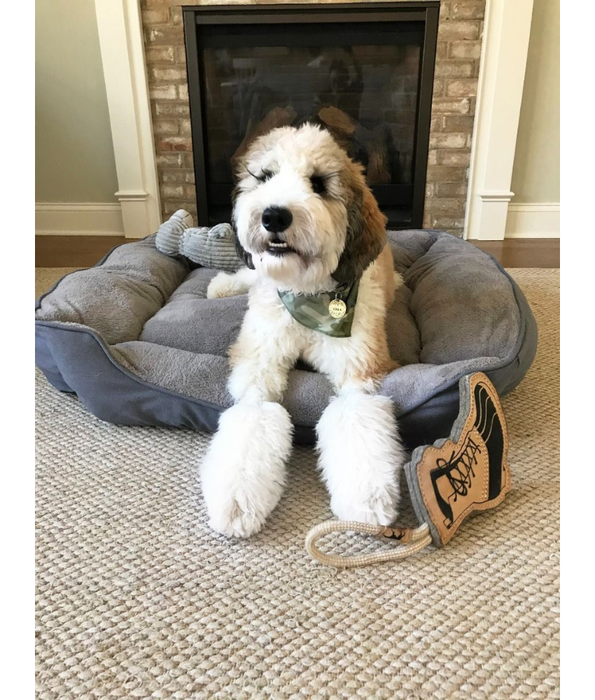 Tall Tails - Dream Chaser Charcoal Bolster Dog Bed, Reversible Fleece, Machine Washable, Eco-Fill - 106×85×22 cm