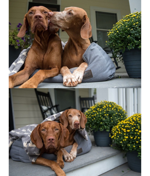 Tall Tails - Dream Chaser Charcoal Bolster Dog Bed, Reversible Fleece, Machine Washable, Eco-Fill - 106×85×22 cm