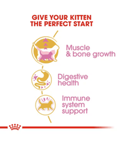 Royal Canin - British Shorthair Kitten - 2 kg infographic on muscle growth, digestive health, and immune support.