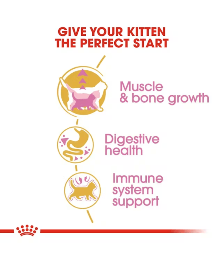 Royal Canin - British Shorthair Kitten - 2 kg infographic on muscle growth, digestive health, and immune support.