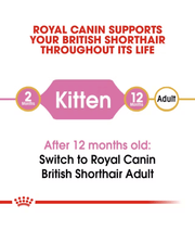 Royal Canin - British Shorthair Kitten - 2 kg life stages chart for British Shorthair cats.