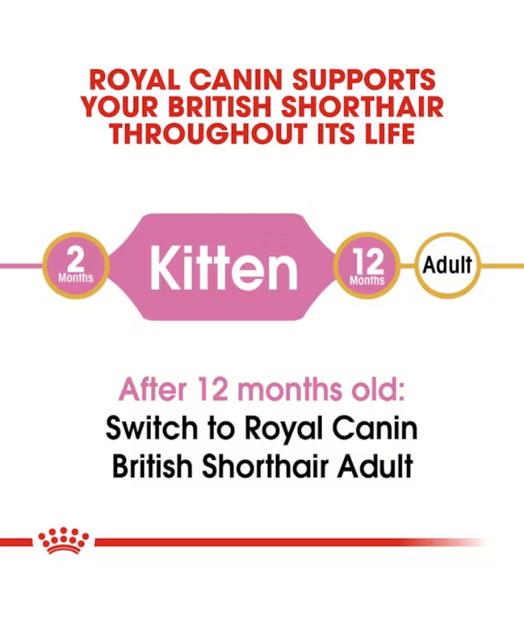 Royal Canin - British Shorthair Kitten - 2 kg life stages chart for British Shorthair cats.