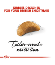 Royal Canin - British Shorthair Kitten - 2 kg kibble designed for the breed's unique jaw and nutrition needs.