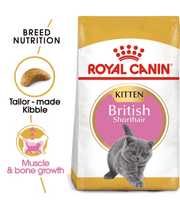 Royal Canin - British Shorthair Kitten - 2 kg bag showing tailored kibble design for breed nutrition and muscle growth.