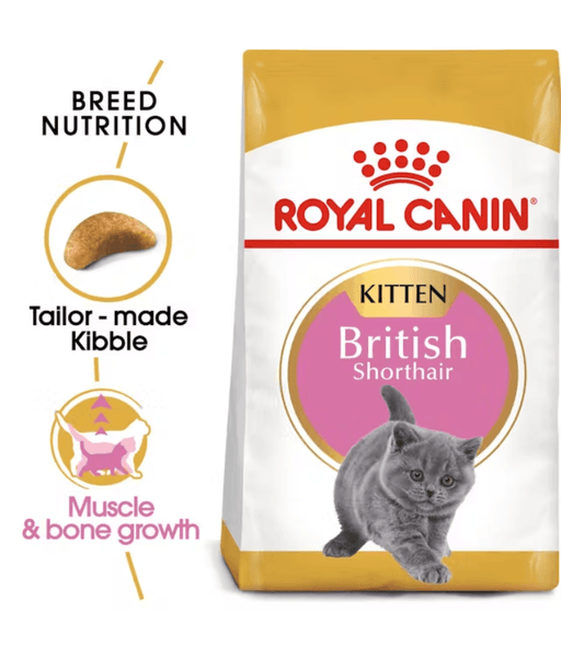 Royal Canin - British Shorthair Kitten - 2 kg bag showing tailored kibble design for breed nutrition and muscle growth.