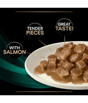 Purina - Pro Plan Veterinary Diets, EN Gastrointestinal Cat Pouch Salmon - 85g in a bowl with tender pieces and great taste.