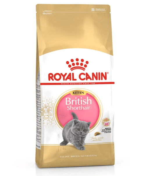 Royal Canin - British Shorthair Kitten - 2 kg food bag with gray kitten on packaging.
