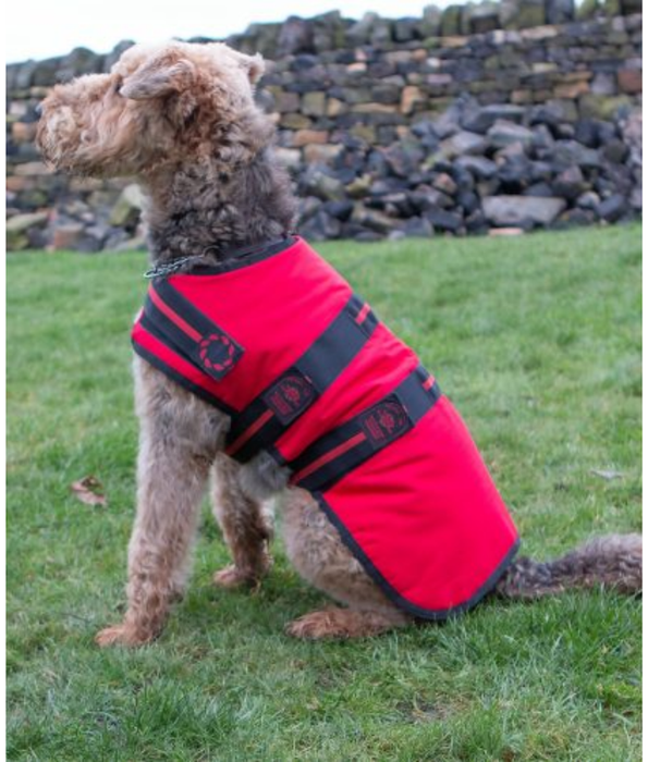 Animate Breathe Comfort Padded Fashion Dog Coat – Red, Waterproof & Windproof S -XL