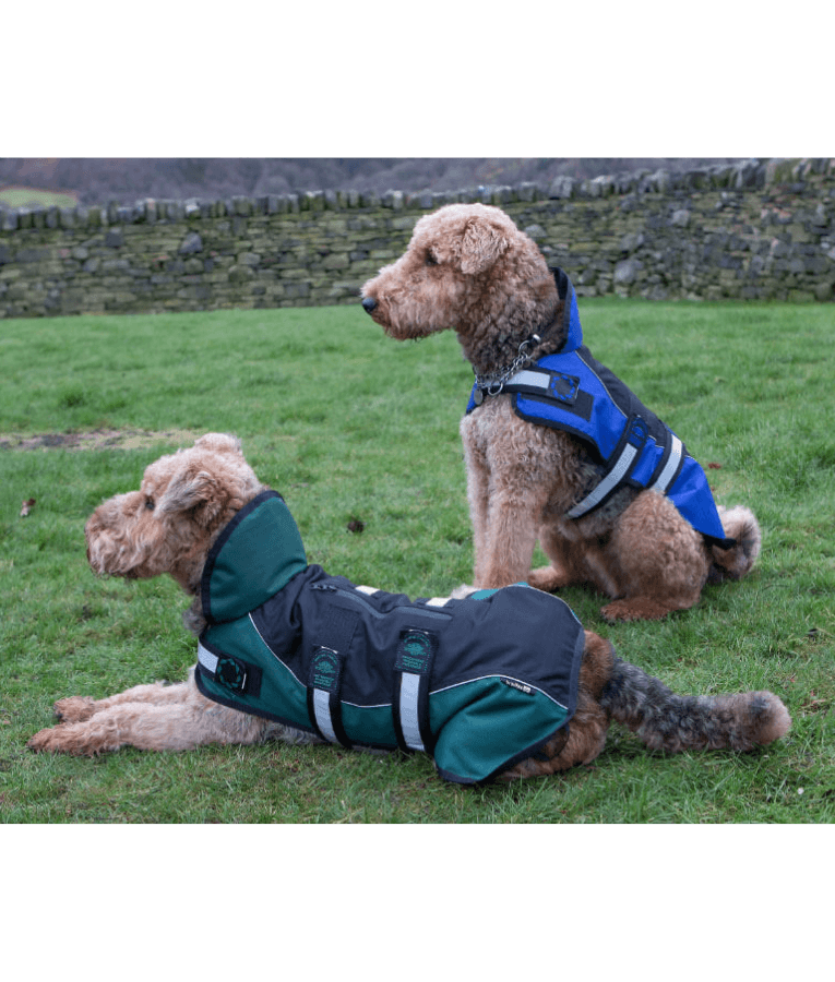 Animate Reflective Black/Blue Unpadded Harness coat plus collar 61cm